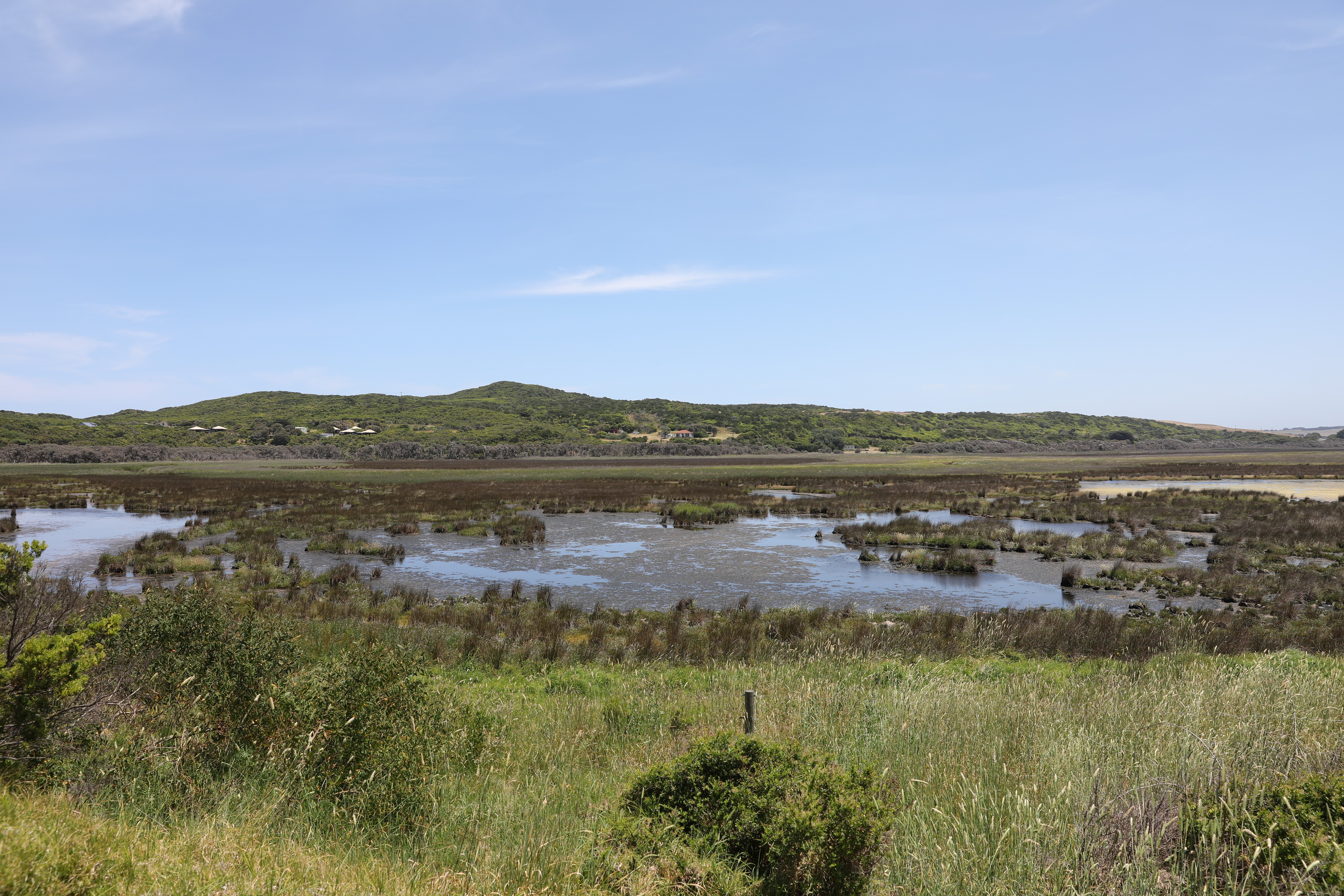 2019 12 19 13 08 54 Canon EOS 5D Mark IV 0036